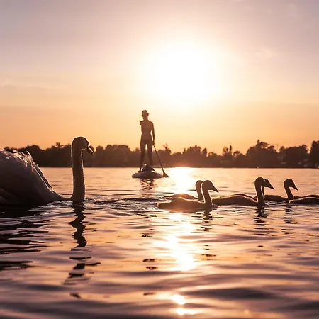 Seemoewe - Moderner Komfort Mit Balkon & Wlan Am Bodensee דירה