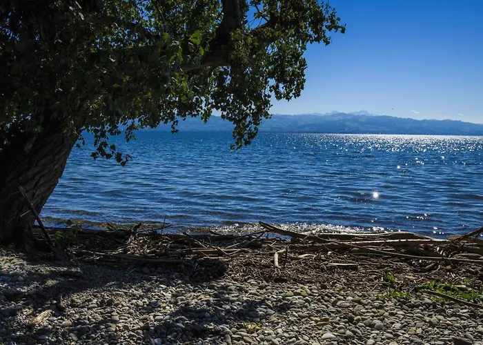 Seemoewe - Moderner Komfort Mit Balkon & Wlan Am Bodensee
